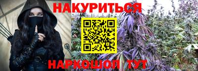 индика Будённовск