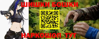 индика Будённовск