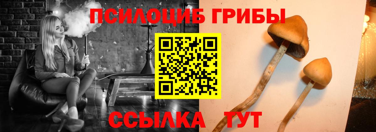 Галлюциногенные грибы MAGIC MUSHROOMS  Псилоцибиновые грибы мицелий  Вход с VPN  Нижний Новгород 
